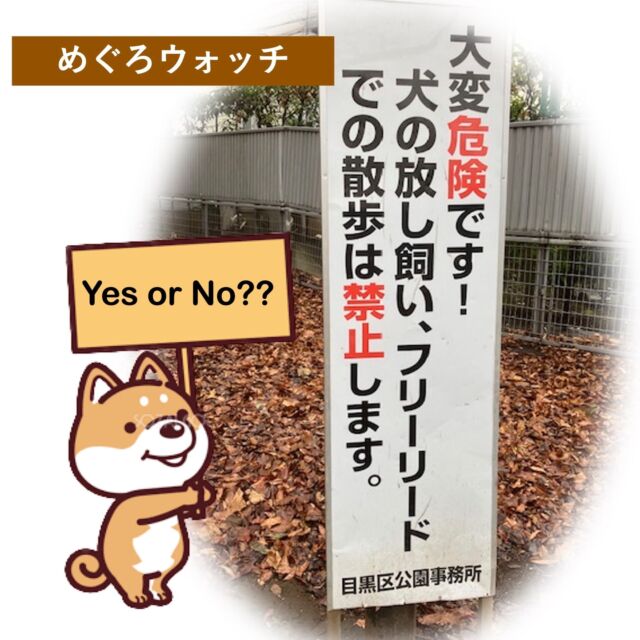 #めぐろウォッチ
始まりました！
 
#目黒区 で目にする、いろいろな風景、場所。ちょっと気づいたことや、日常の #区民目線 のエピソードを綴ります。

今回は、公園に犬は入っていい？いけない？
いろいろな人が集う、公園。
いろいろな意見に対応してきた結果、こうなったー？？
是非、ご覧ください！
#区民コラム
#めぐろ区民ジャーナル